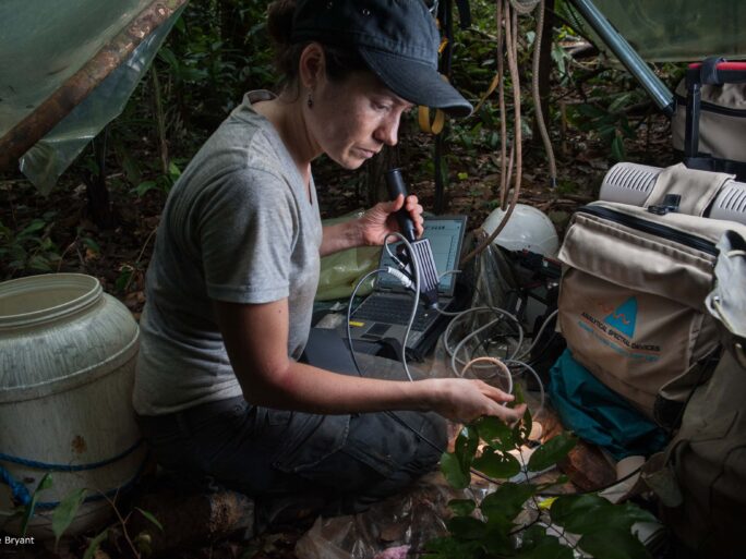 Field spectroscopy fieldwork