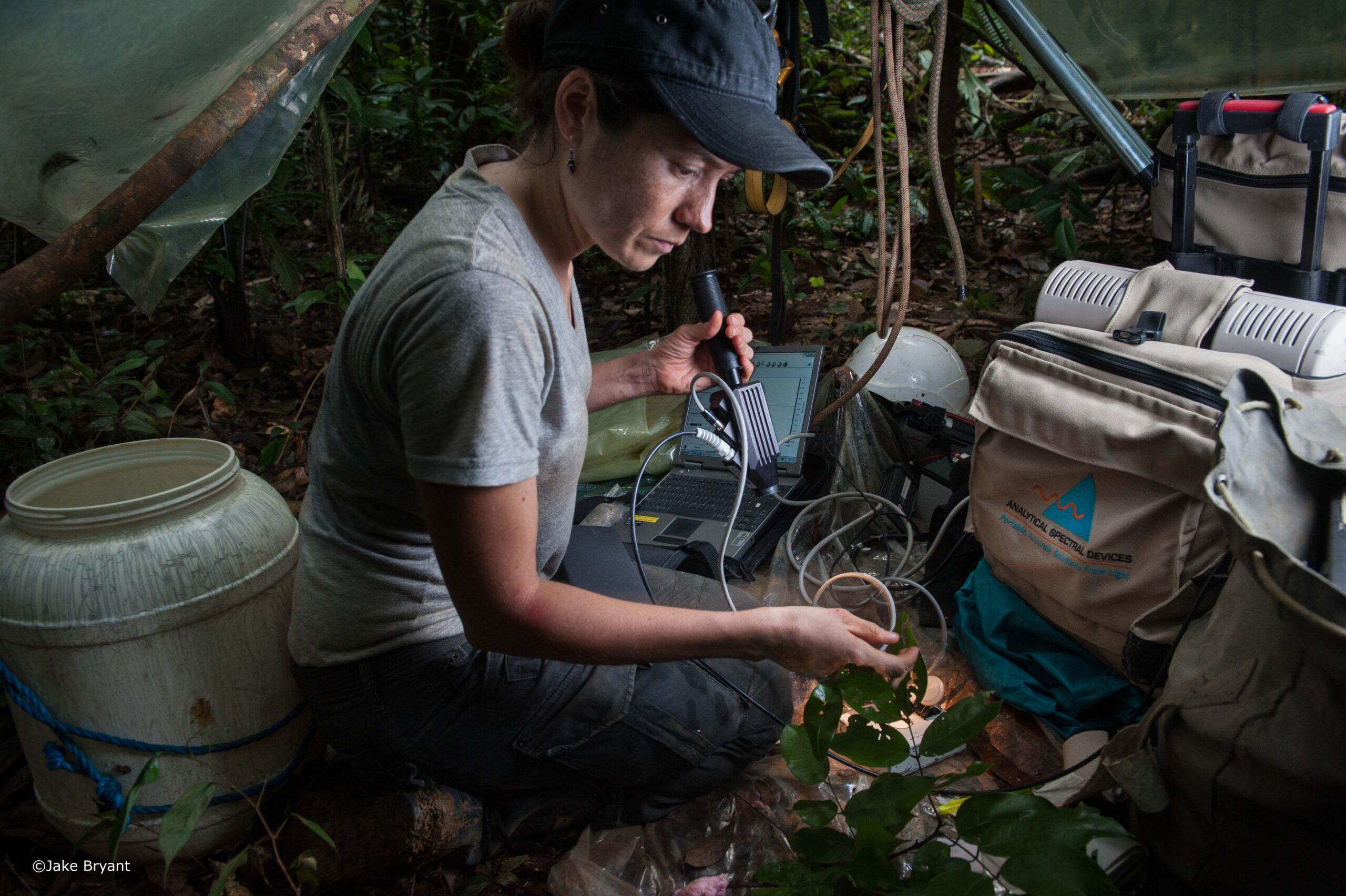 Field spectroscopy fieldwork