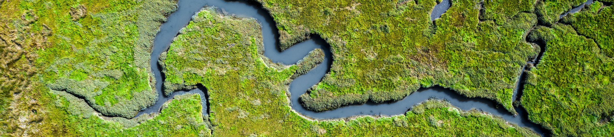 Aerial view of coastal wetlands in Wales, UK