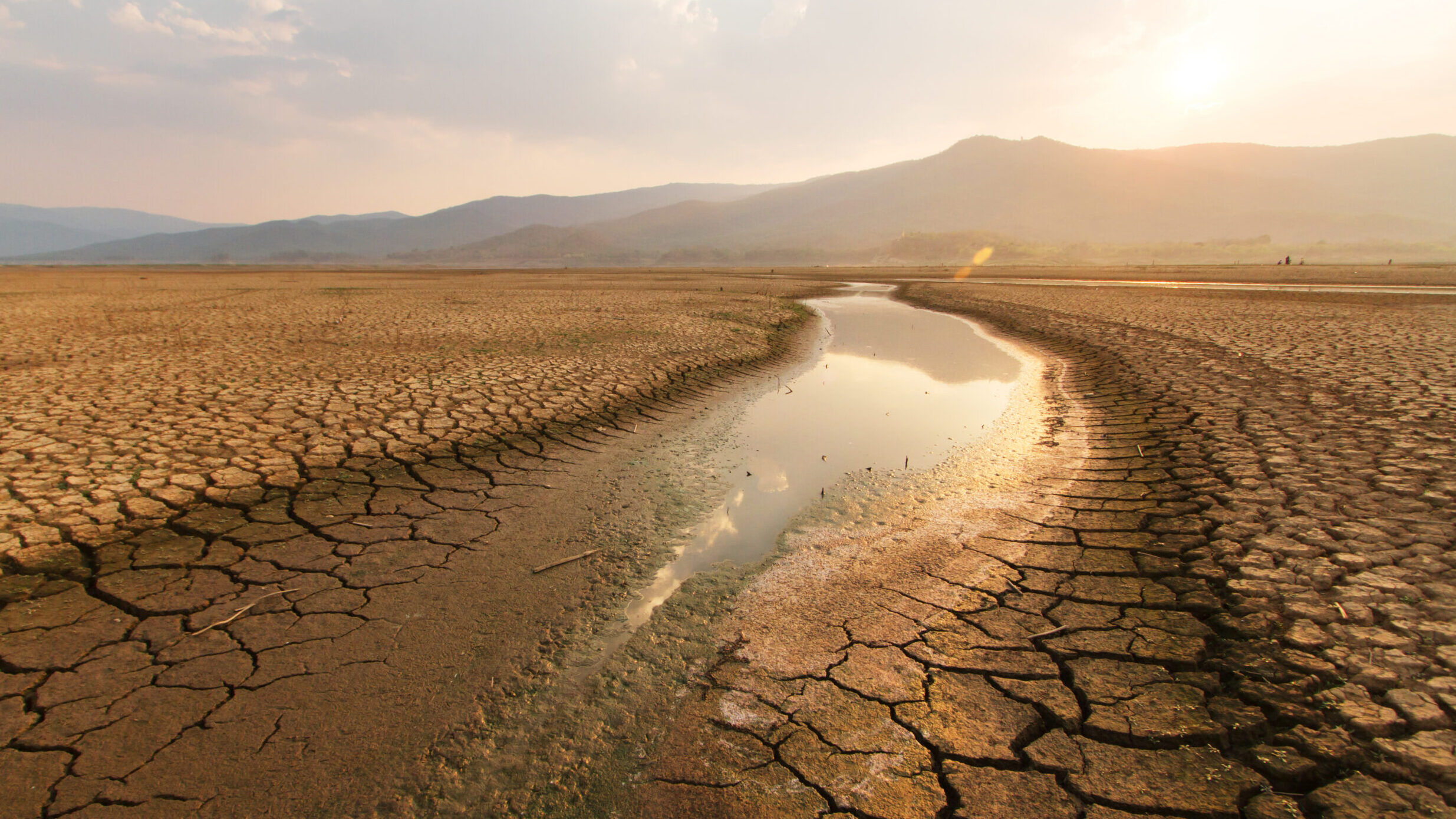 Dried lake and river on summer and Climate change