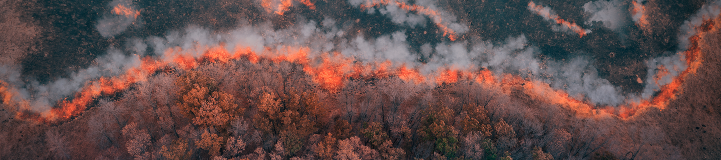 Aerial view of forest fire stock photo