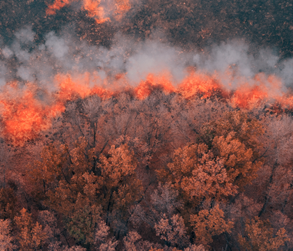 Aerial view of forest fire stock photo