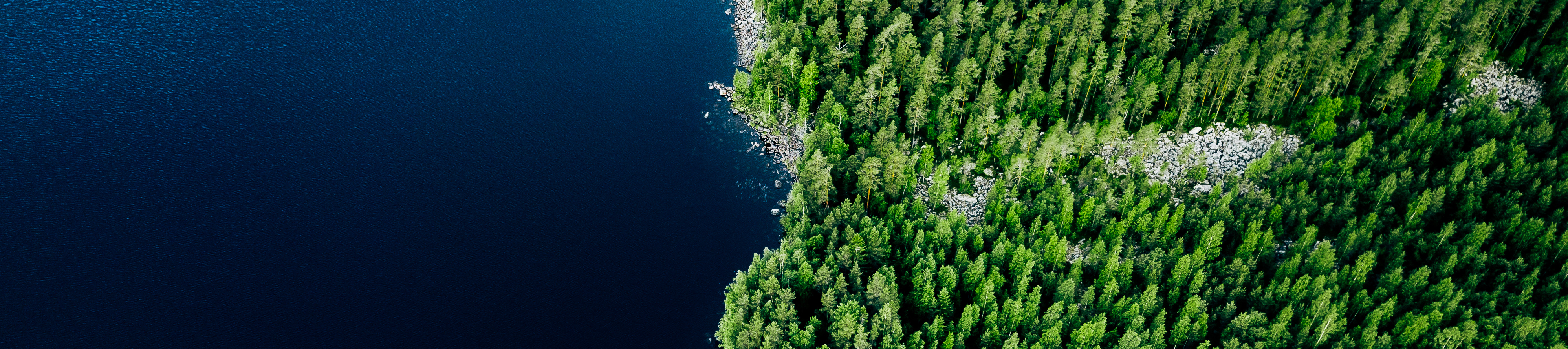 Aerial view of blue lake stone shore and and green woods with pine trees in Finland. stock photo