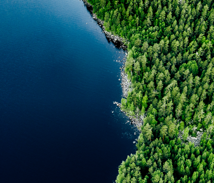 Aerial view of blue lake stone shore and and green woods with pine trees in Finland. stock photo