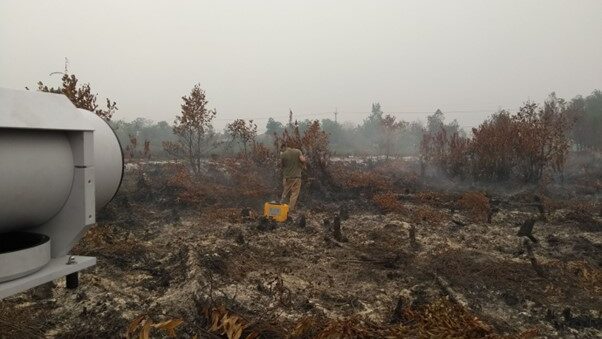 Measurements of gas and particulate emissions from a smouldering peatland in Indonesia