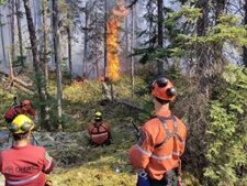 Fire ranger crew and scientists monitoring fire progression.