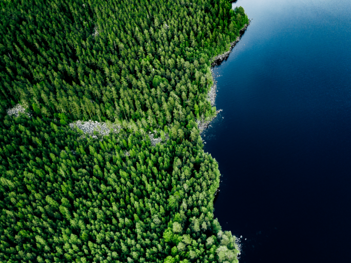 Forest and lake from space