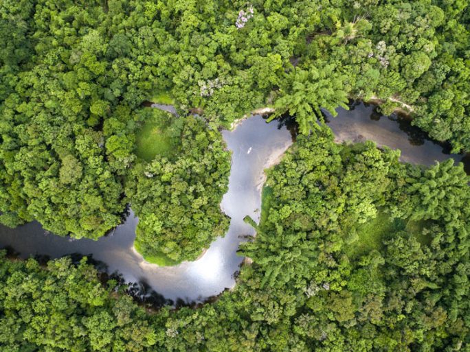 Aerial View of Rainforest in Brazil.