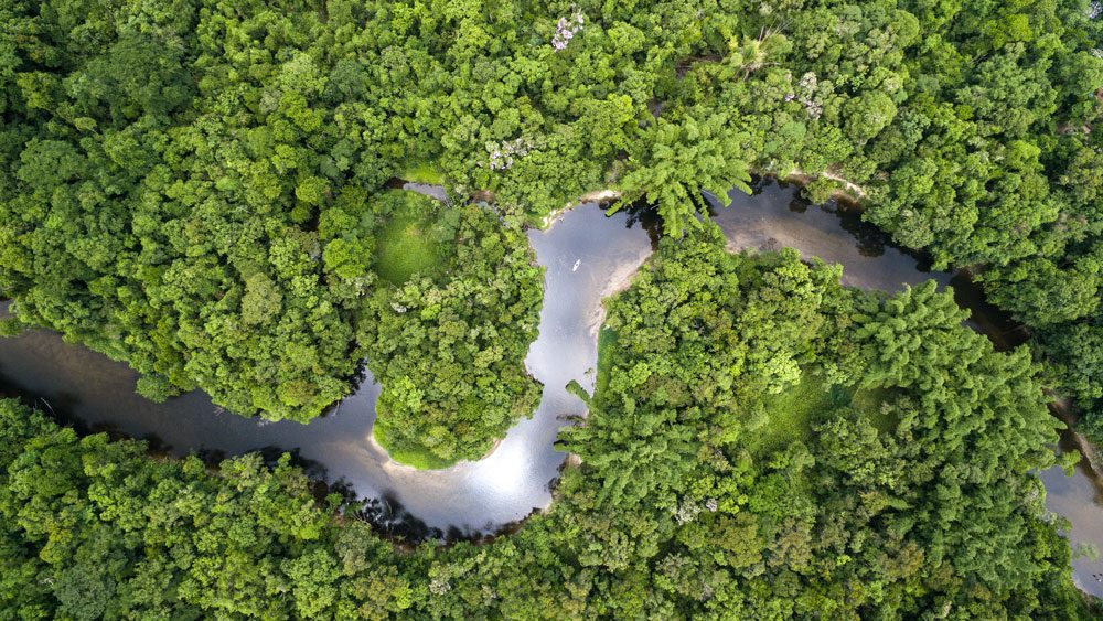 Aerial View of Rainforest in Brazil.