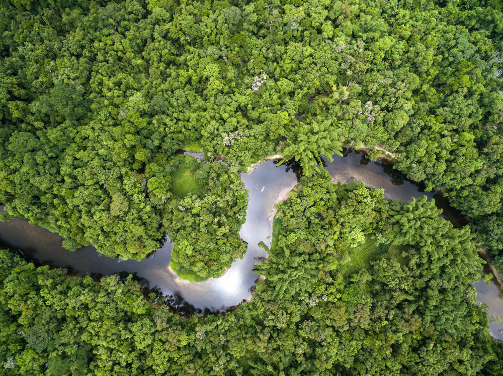 Aerial View of Rainforest in Brazil.