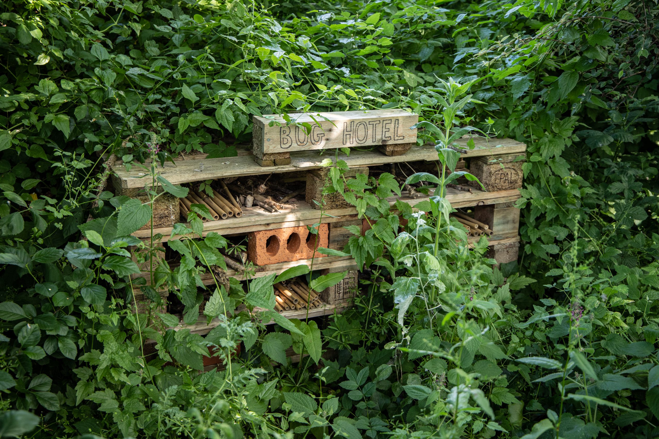 Bug hotel at Plymouth Marine Laboratory