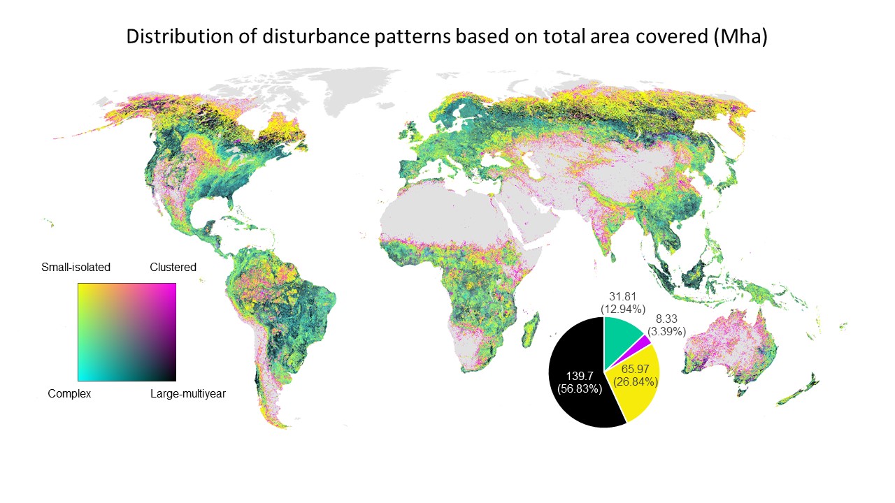 Distribution-of-disturbance-patterns-based-on-total-areas-covered.